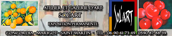 Galerie et atelier a saint Martin