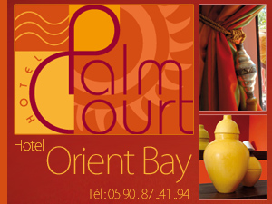 hotel palm court saint martin