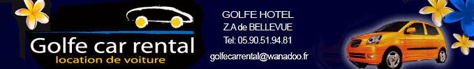 Golfe car rental � Bellevue