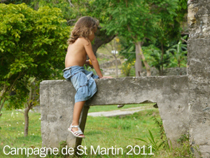 Campagne a st martin