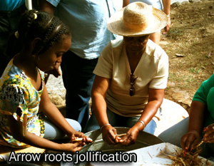 Arrow Roots Jollification - Colombier