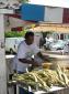 canne a sucre
