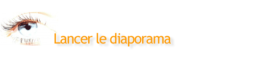 afficher le diaporama photos sur saint martin
