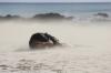 TEMPETE DE SABLE