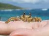Photos de saint martin