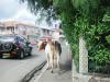Photos de saint martin