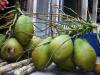noix de coco