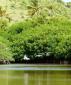 Photos de saint martin