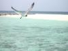 en mer ile sandy