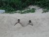 plage happy bay