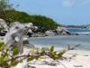 Photos de saint martin