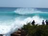 vagues � cup coy