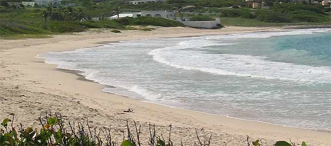 La plage de Guana bay