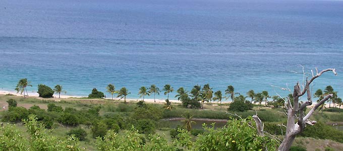 plage de happy bay