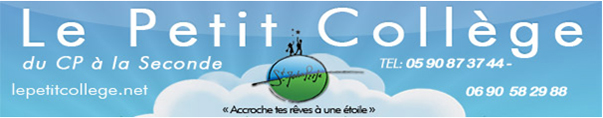 coll�ge du CM1 � la Troisi�me - Saint Martin
