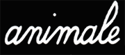 magasin animale a Marigot Saint Martin