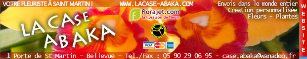 Florajet saint martin - case abaka , flowers in saint martin