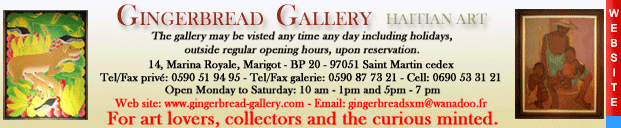 art gallery sxm